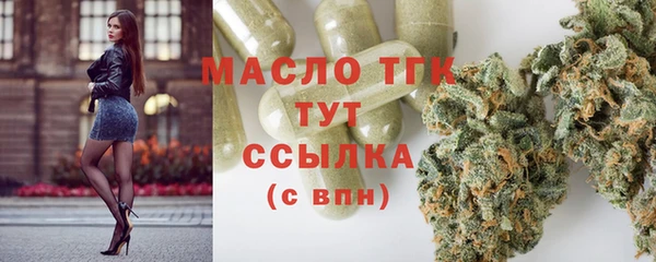 индика Лиски