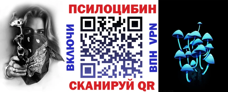 Псилоцибиновые грибы Psilocybe  мега зеркало  Сосновый Бор 