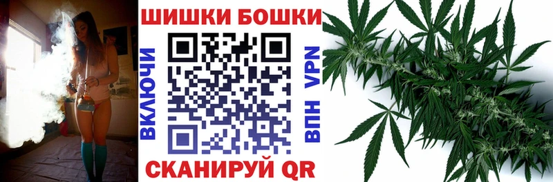 где купить   Сосновый Бор  kraken зеркало  Каннабис VHQ 